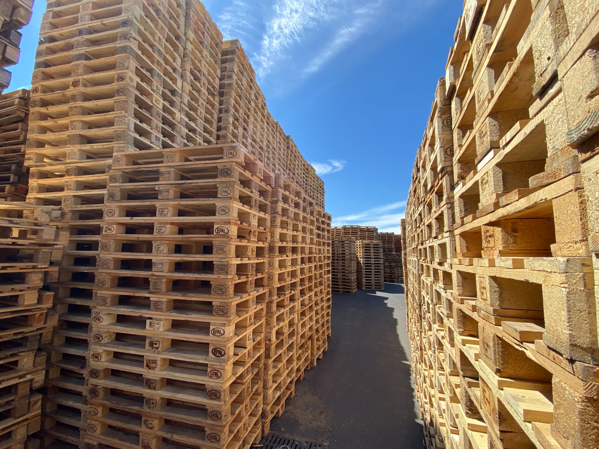 Stock important de palettes Rochet